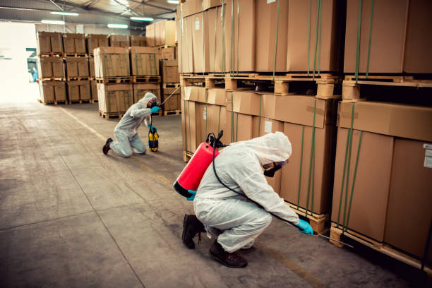 Best Pest Inspection Near Me  in Spencerville, OH