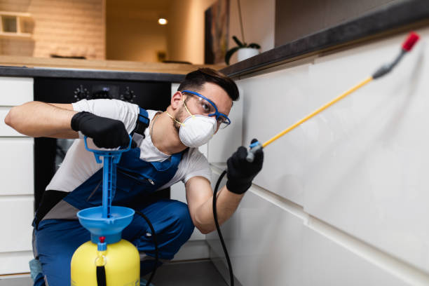 Trusted Spencerville, OH Pest Control Experts