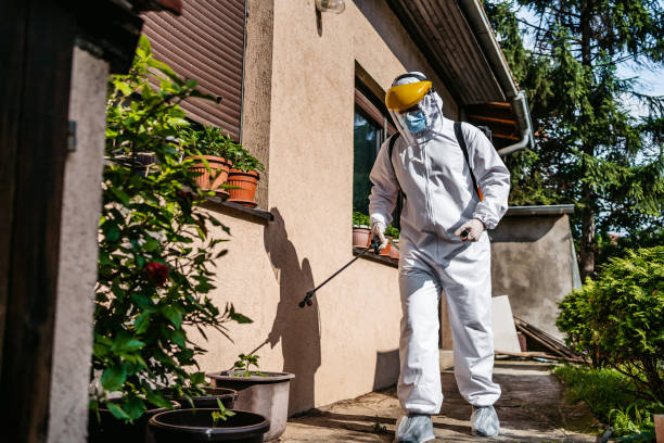 Best Pest Control for Homes  in Spencerville, OH