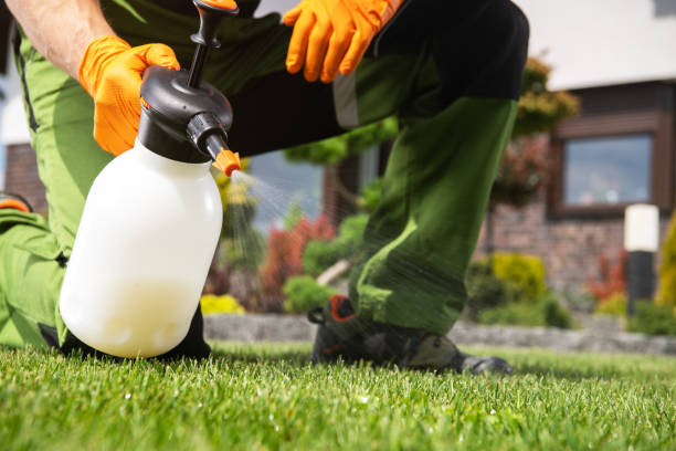 Best Rodent Control Near Me  in Spencerville, OH