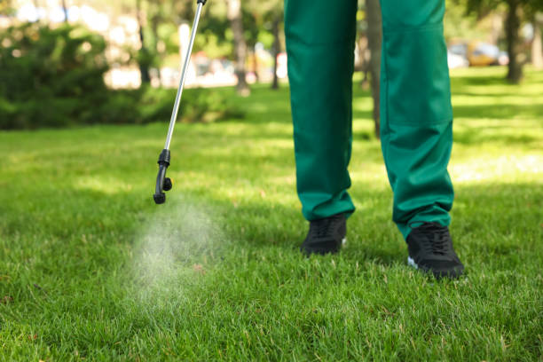 Professional Pest Control in Spencerville, OH