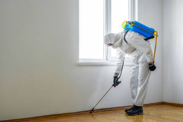 Pest Control for Restaurants in Spencerville, OH