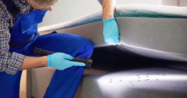 Best Mosquito Control Services  in Spencerville, OH