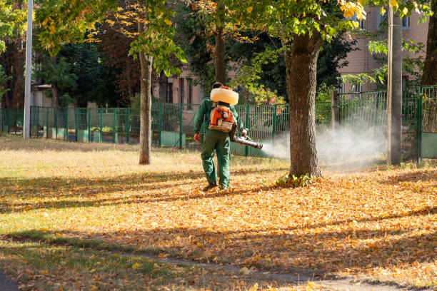 Pest Control Cost in Spencerville, OH