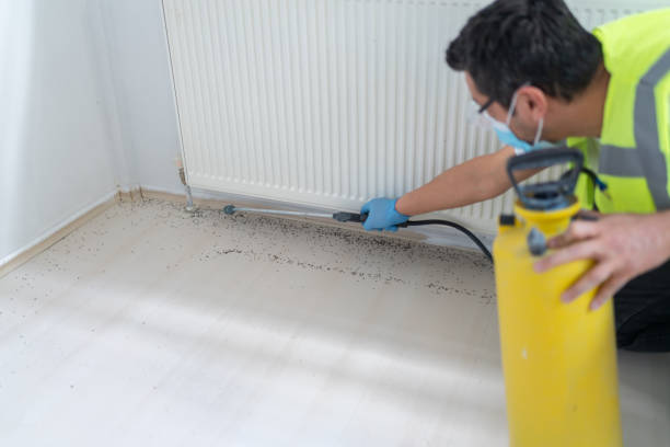 Pest Control for Restaurants in Spencerville, OH