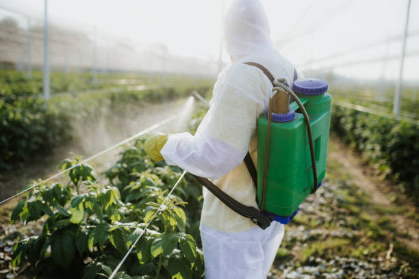 Best Cockroach Control Services  in Spencerville, OH